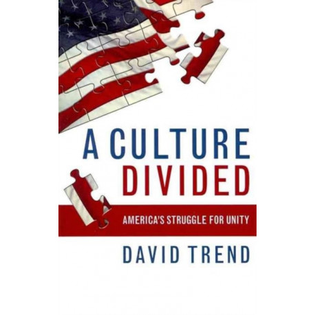 A Culture Divided: America's Struggle for Unity