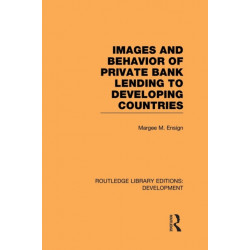 Images and Behaviour of Private Bank Lending to Developing Countries