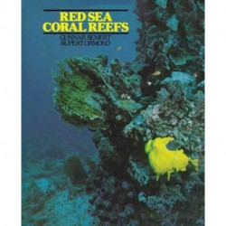 Red Sea Coral Reefs