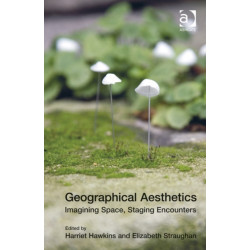 Geographical Aesthetics: Imagining Space, Staging Encounters
