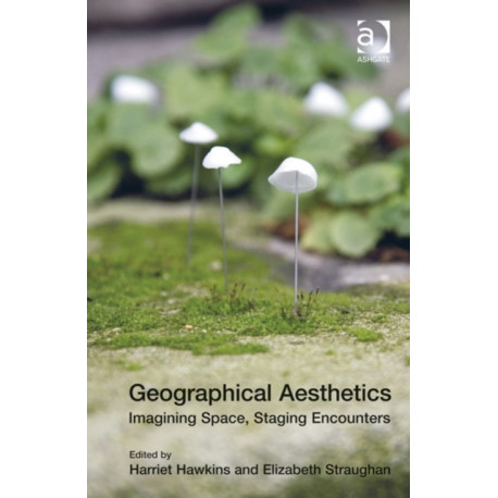 Geographical Aesthetics: Imagining Space, Staging Encounters
