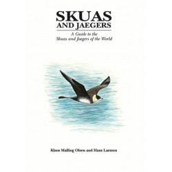 Skuas and Jaegers