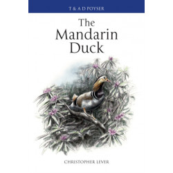 The Mandarin Duck
