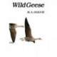 Wild Geese