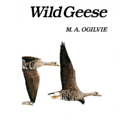 Wild Geese