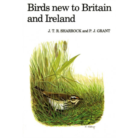 Birds New to Britain and Ireland