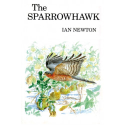 The Sparrowhawk