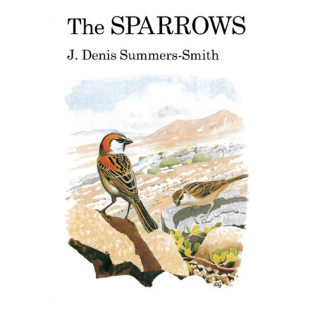 The Sparrows