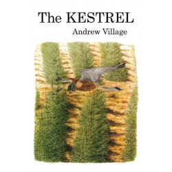 The Kestrel