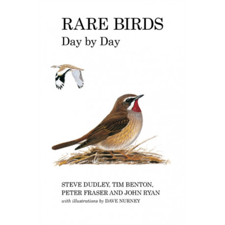Rare Birds Day by Day