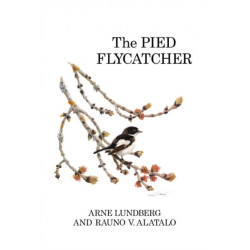 The Pied Flycatcher