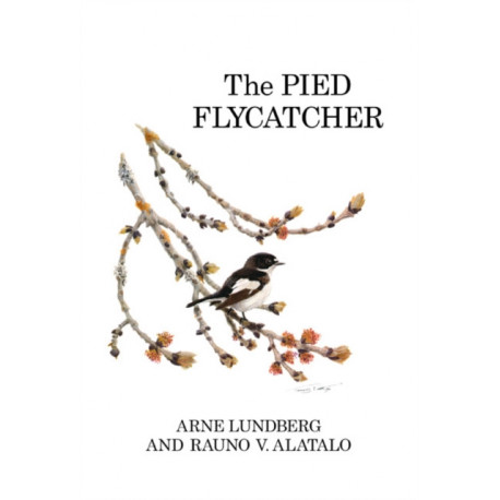 The Pied Flycatcher