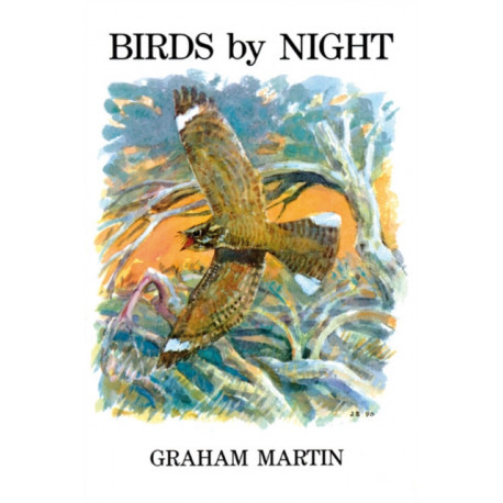 Birds by Night