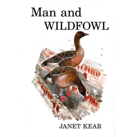 Man and Wildfowl