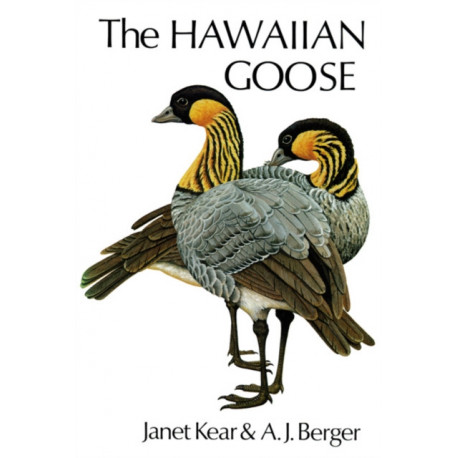 The Hawaiian Goose