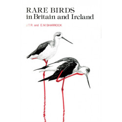 Rare Birds in Britain and Ireland: (1976)