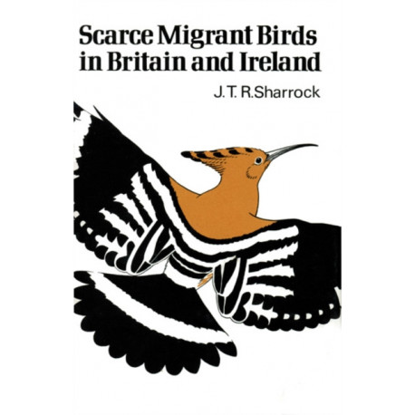 Scarce Migrant Birds of Britain and Ireland