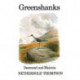 Greenshanks