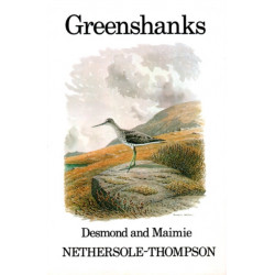 Greenshanks