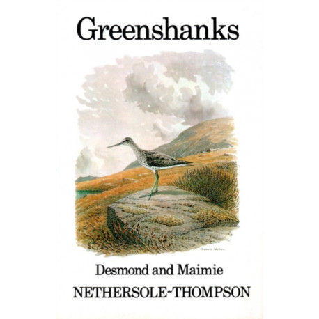 Greenshanks