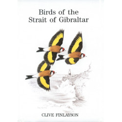 Birds of the Strait of Gibraltar