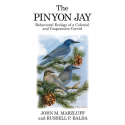 The Pinyon Jay: Behavioral Ecology of a Colonial and Cooperative Corvid