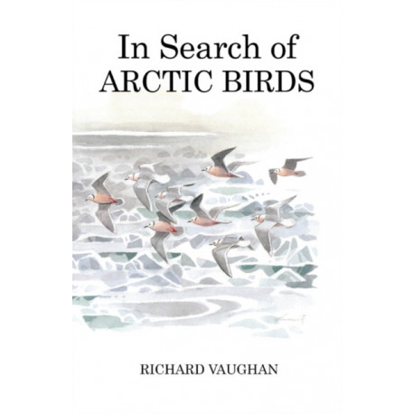 In Search of Arctic Birds