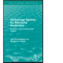 Technology Options for Electricity Generation: Economic and Environmental Factors