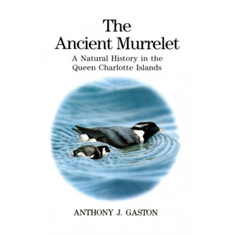 The Ancient Murrelet: A Natural History in the Queen Charlotte Islands