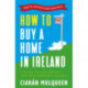 How to Buy a Home in Ireland: A Guide to Navigating the Irish Property Market