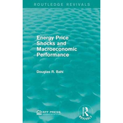 Energy Price Shocks and Macroeconomic Performance