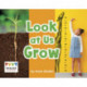Look at Us Grow