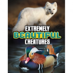 Extremely Beautiful Creatures