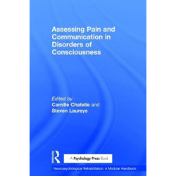 Assessing Pain and Communication in Disorders of Consciousness