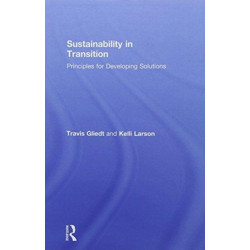 Sustainability in Transition: Principles for Developing Solutions