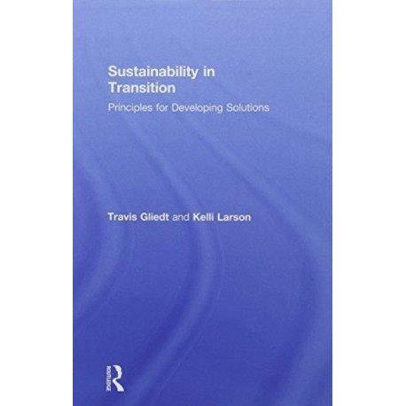 Sustainability in Transition: Principles for Developing Solutions