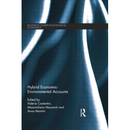 Hybrid Economic-Environmental Accounts