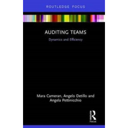 Auditing Teams: Dynamics and Efficiency