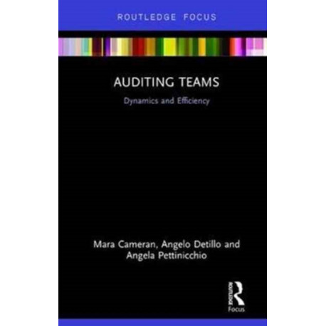 Auditing Teams: Dynamics and Efficiency