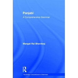 Panjabi: A Comprehensive Grammar