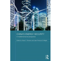 China's Energy Security: A Multidimensional Perspective