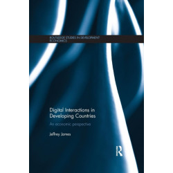 Digital Interactions in Developing Countries: An Economic Perspective