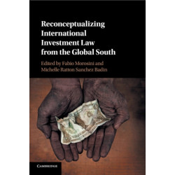 Reconceptualizing International Investment Law from the Global South