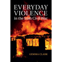 Everyday Violence in the Irish Civil War