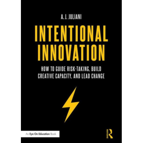 Intentional Innovation: How to Guide Risk-Taking, Build Creative Capacity, and Lead Change