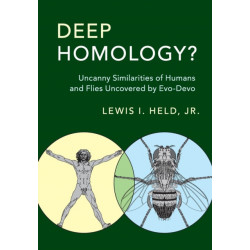 Deep Homology?: Uncanny Similarities of Humans and Flies Uncovered by Evo-Devo