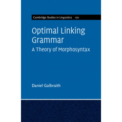 Optimal Linking Grammar: Volume 170: A Theory of Morphosyntax