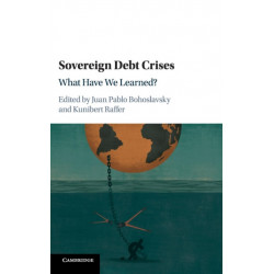 Sovereign Debt Crises: What Have We Learned?