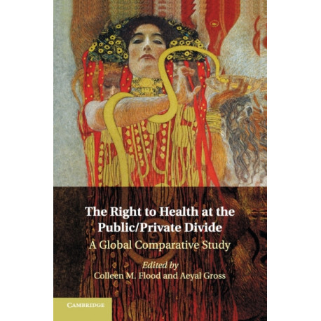 The Right to Health at the Public/Private Divide: A Global Comparative Study