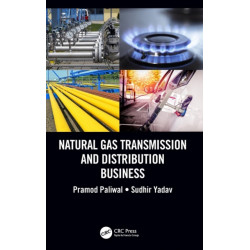 Natural Gas Transmission and Distribution Business